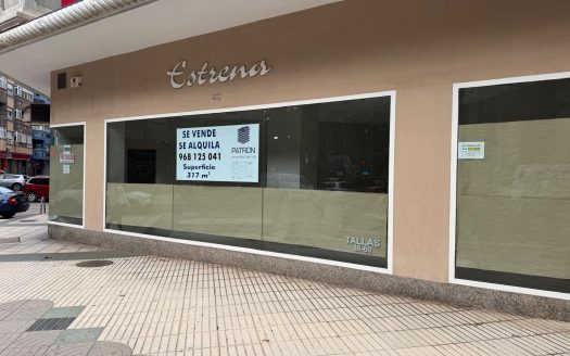 Se alquila local comercial en Paseo Alfonso XIII